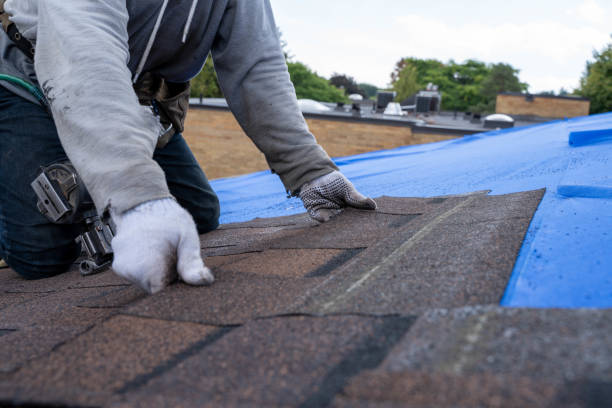 Best Metal Roofing Contractor  in Smethport, PA